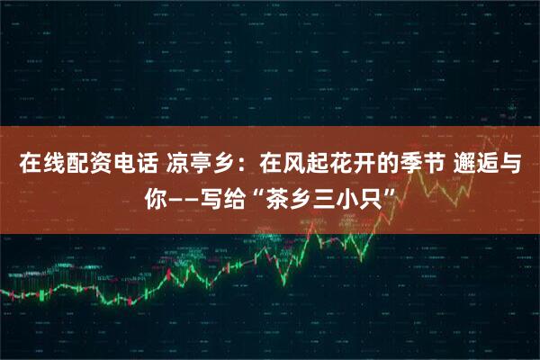 在线配资电话 凉亭乡：在风起花开的季节 邂逅与你——写给“茶乡三小只”